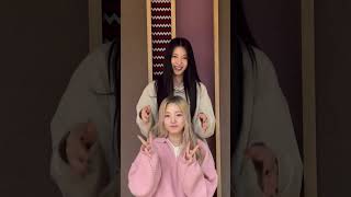 활짝 피어난 연희꽃🐶🌸 #FLOWERchallenge #연희 #수윤