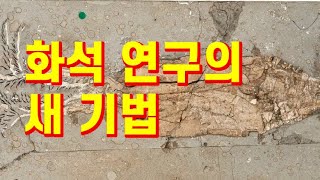 [201편] 화석 연구에 최신 디지털 기법이 적용되었다.