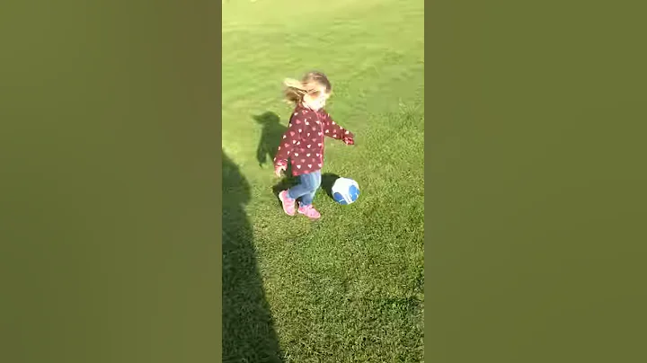 Hailey nya Lotta Schelin