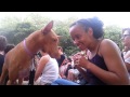 ADVENTURE OF LUNA DOG (A PHARAOH HOUND) の動画、YouTube動画。