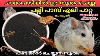 ചായപൊടി മതി എലിപല്ലിപാറ്റപാമ്പ്കൂട്ടത്തോടെ ചത്തുവീഴുംഹിന്ദിക്കാർചെയ്യുന്നസൂത്രം|getridrats|viraltips