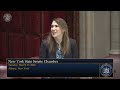 New York State Senate Session - 03/17/2026