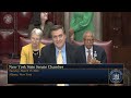 New York State Senate Session - 03/17/2026