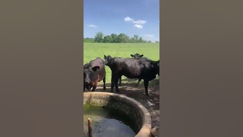 David loves his Best Float Valves