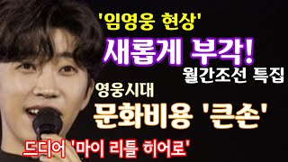 '임영웅 현상' 새롭게 부각! 영웅시대 문화비용 '큰손…