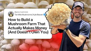 How to Build a Mushroom Farm That Actually Makes Money (And Doesn't Own You)