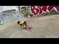 The best skateboarding bulldog, бульдог на скейте, собака на скейте, самый умный пёс Норд Босс