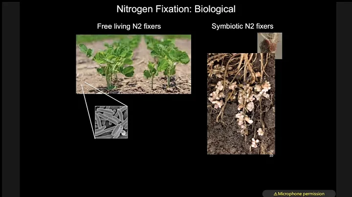 Dr. Terri Long (NC State Univ.) -- "War and Peas: ...