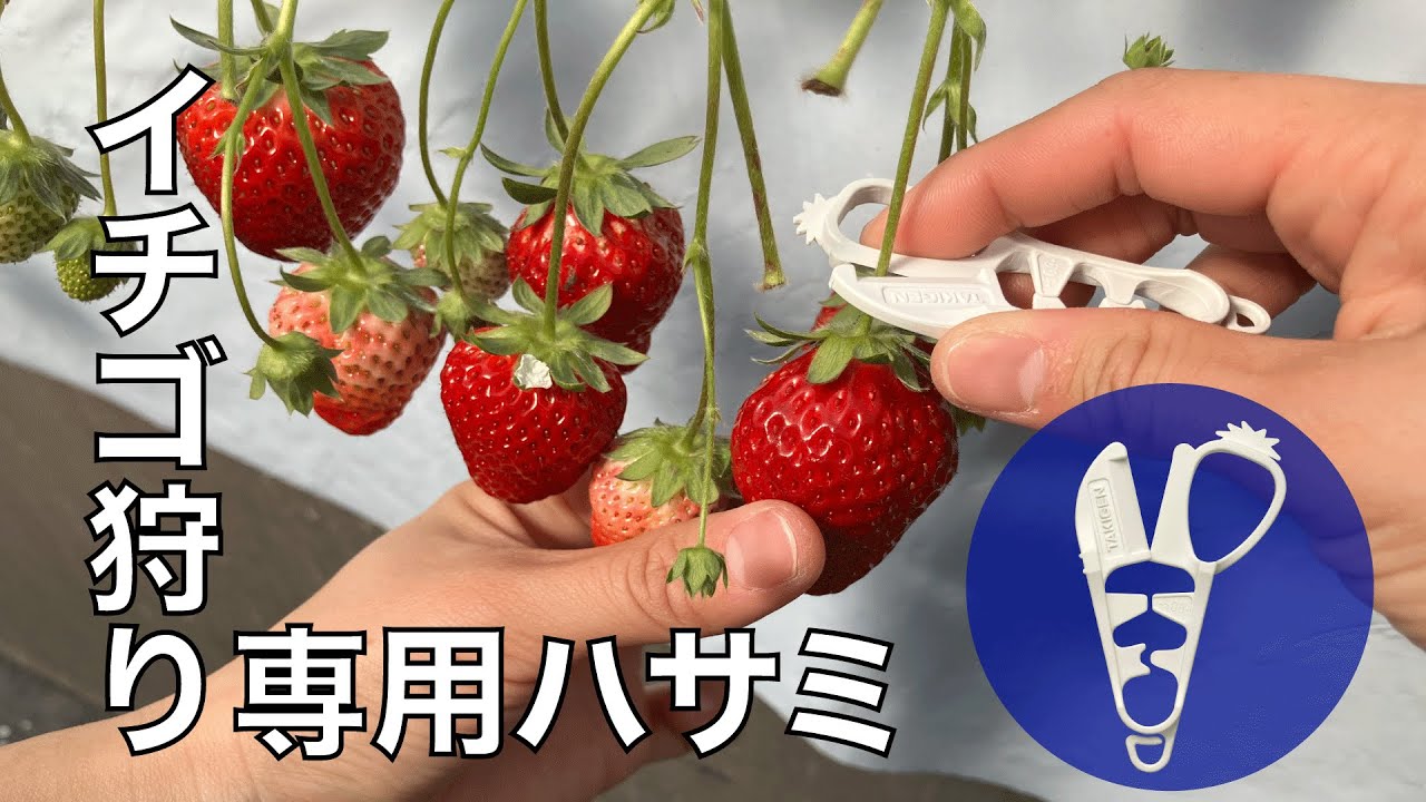 CP-695 ベリーチョッパー | 農業分野でもタキゲン アグリ場