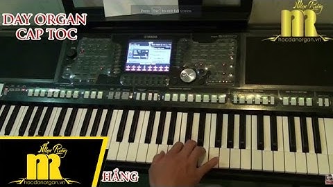 Học Đàn Organ Cấp Tốc TPHCM - HẬN ĐỒ BÀN - Trung Tâm Nhạc Rừng