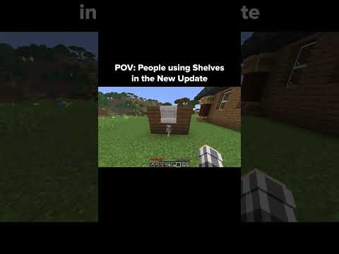 Minecraft Shelf Moment