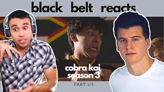 Black Belt Reacts To Barrett Carnahan Is Miguel Back?? Cobra Kai Season 3 Fight Reaction 13