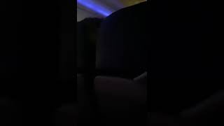 Southwest Flight 1802 Farewell Dec. 2020