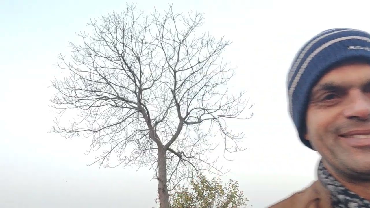 Silence of nature and observation of nature is the source of creative ideas and dreams.