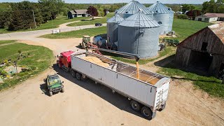 Flashbacks - Selling Old Crop Corn