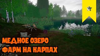 Медное озеро! Фарм на карпах! Русская рыбалка 4