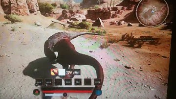 Path Of Titans: Rex 1v1