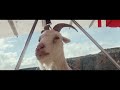 Goat glider by vccp london for virgin media