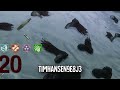 Middle of video
