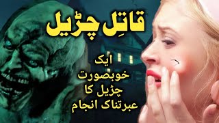 Qatil Chudail | Urdu Hindi Stories | @HorrorStoriesHindiUrdu  | #chudail_ki_kahaniyan