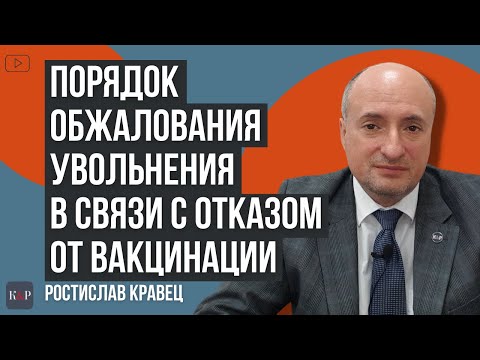 Видео: Как да отворите вашата компания в Украйна