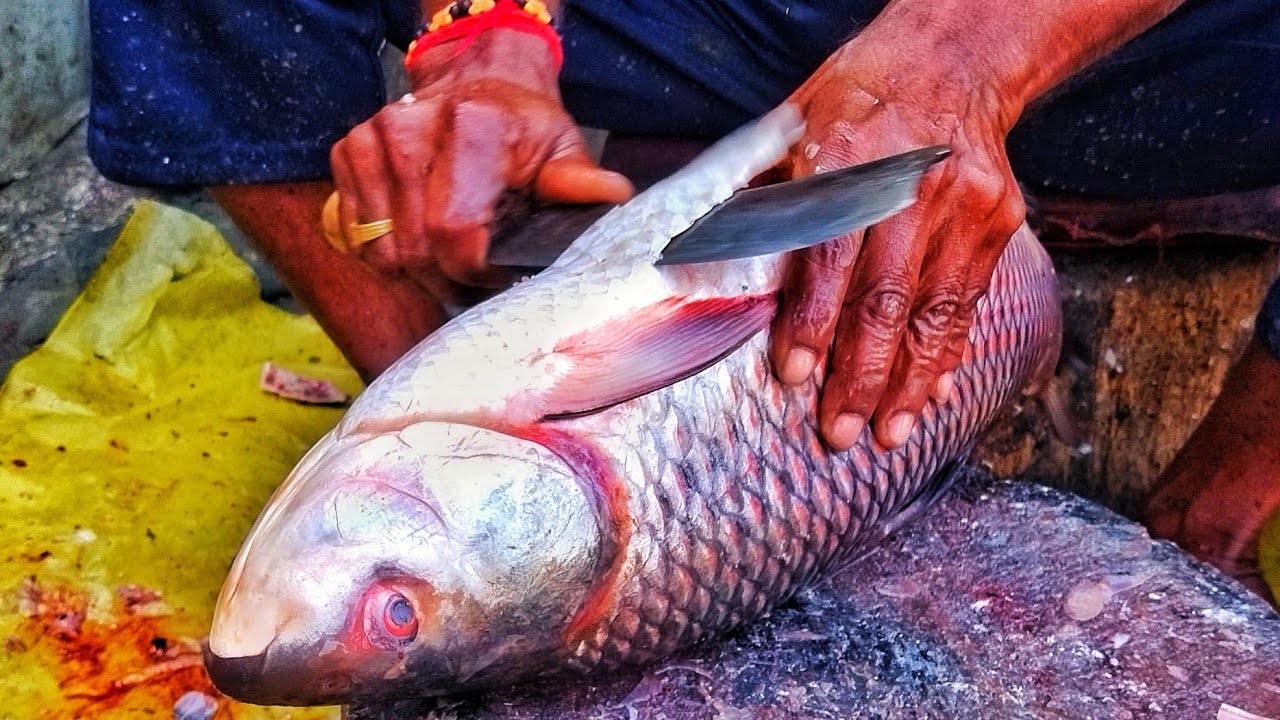 Amazing Fastest Rohu Fish Cutting skills | Fish Curter By Fish Market ...