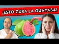 9 ENFERMEDADES que se CURAN consumiendo GUAYABA || ¿Qué BENEFICIOS tiene la HOJA de GUAYABA?