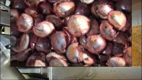 Quy trình sản xuất nước ép chanh leo cô đặc