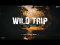 Wild trip  psy  trance  original  dvj amanrdx bokarorxe