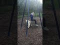 Dog pushes his owner on the swing | CONTENTbible