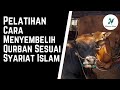 Pelatihan Tata Cara Penyembelihan Sapi Sesuai Syariat Islam, Qurban Idul Adha