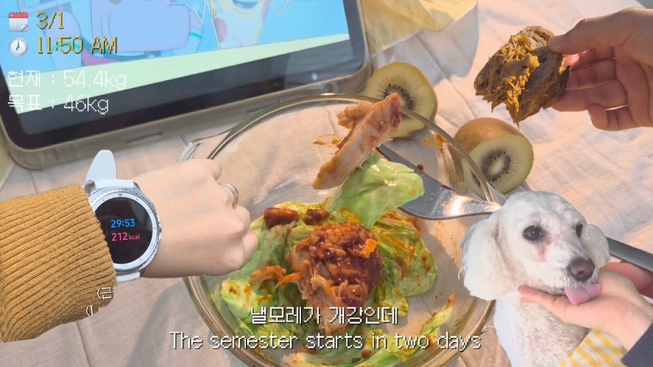 내 인생 마지막 다이어트 💪🥵 이번엔 무조건 성공 + 평생 유지하는 모습 보여드림 !! There's no escaping it #다이어트브이로그 #whatieatinaday 