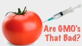 GMOs: Really That Bad? What Are They? | Cassandra Bankson