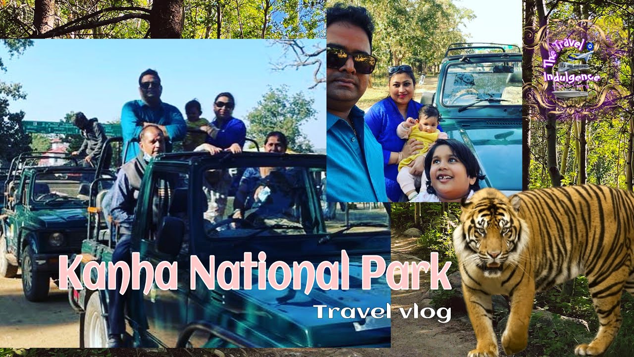 Kanha national park , complete information of cost and what to do