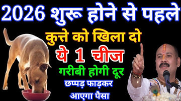 2026 नए साल को चुपचाप कुत्ते को खिला दो यह एक चीज, आपकी 7 जन्मों की गरीबी दूर होगी..#pradeepmishra​
