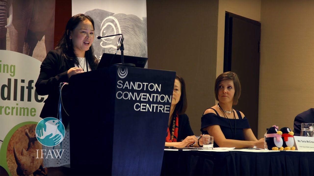 animal welfare act of 1998 tagalog Take a Byte Out of Wildlife Cybercrime