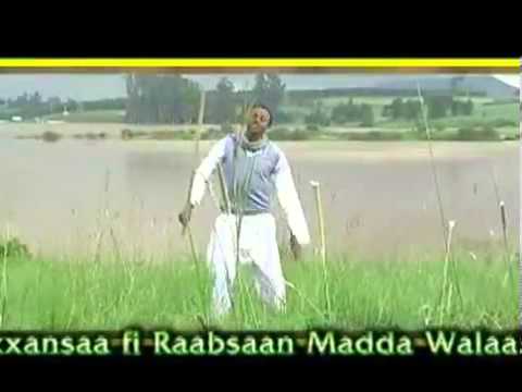 Urgessa Gabissa   Hadhaa Mashiini Oromo Music