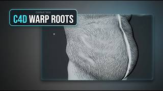Ornatrix Cinema 4D Warp Modifier | Precise hair manipulation