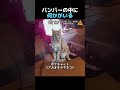 バンパーの中に何かがいる