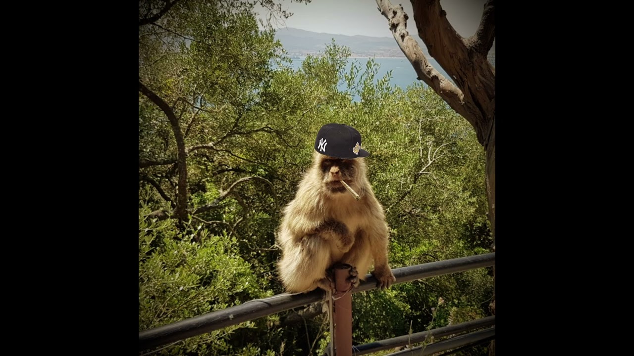 [FREE] Boom Bap + Sample Type Beat 