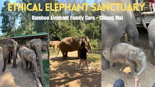 Ethical Elephant Sanctuary in Chiang Mai - Advice + Vlog