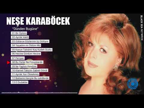 Bu Yerler Ne Füsunkardır | Neşe Karaböcek