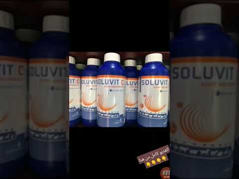 فيتامينات متعددة للطيور