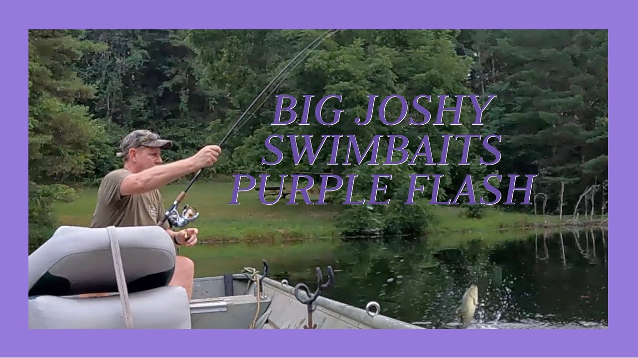 REVIEW: BIG JOSHY SWIMBAITS Minnow Purple Flash 