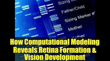 How Computational Modeling Reveals Retina Formation & Vision Development