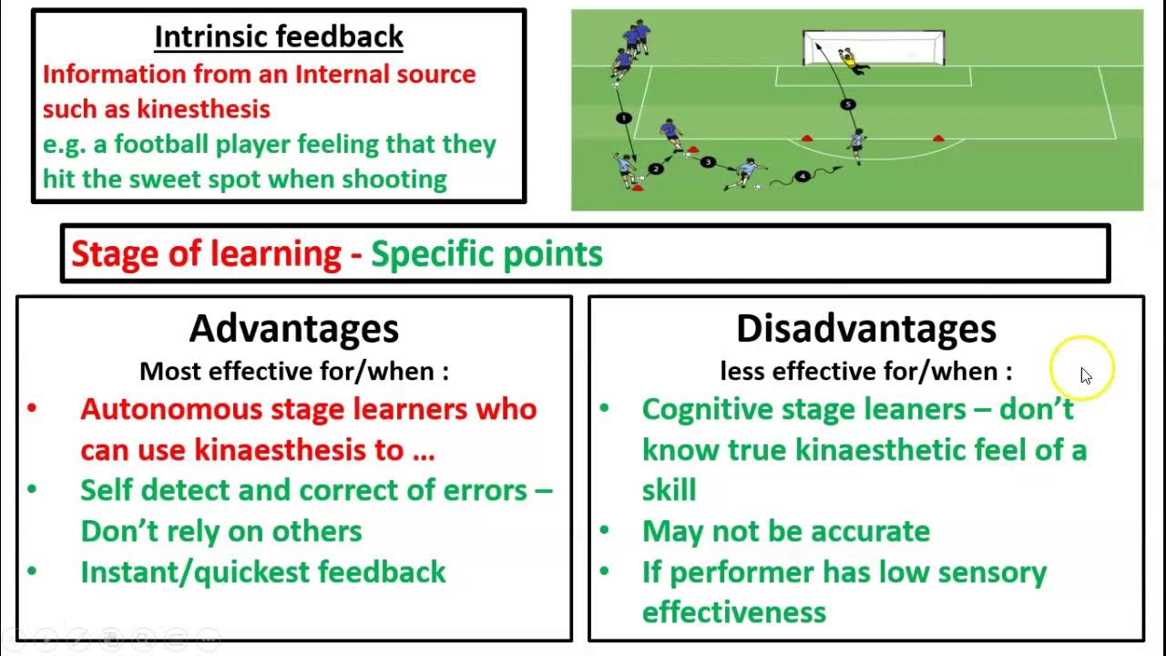 Intrinsic and extrinsic feedback YouTube