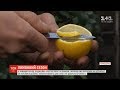 Звідки в Україну привозять лимони і як вибрати найкращий