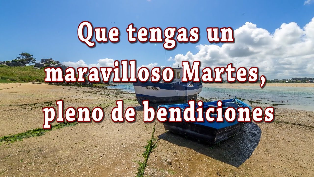 donante y donatario Feliz Martes, pleno de bendiciones