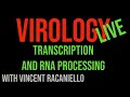 Virology Live #7: Transcription and RNA processing
