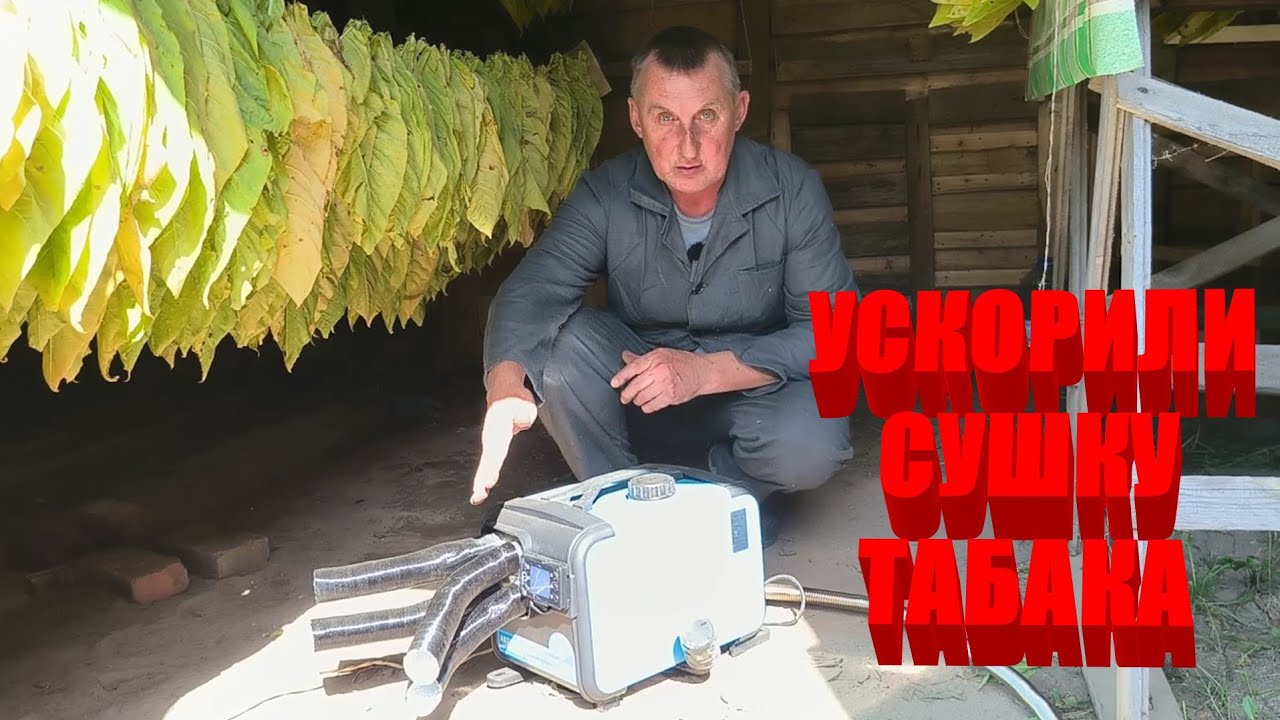 Как мы СУШИМ ТАБАК. Купили АВТОНОМНЫЙ ОТОПИТЕЛЬ.. Комментирует КОММЕНТАРИИ. ЖИЗНЬ В ДЕРЕВНЕ.